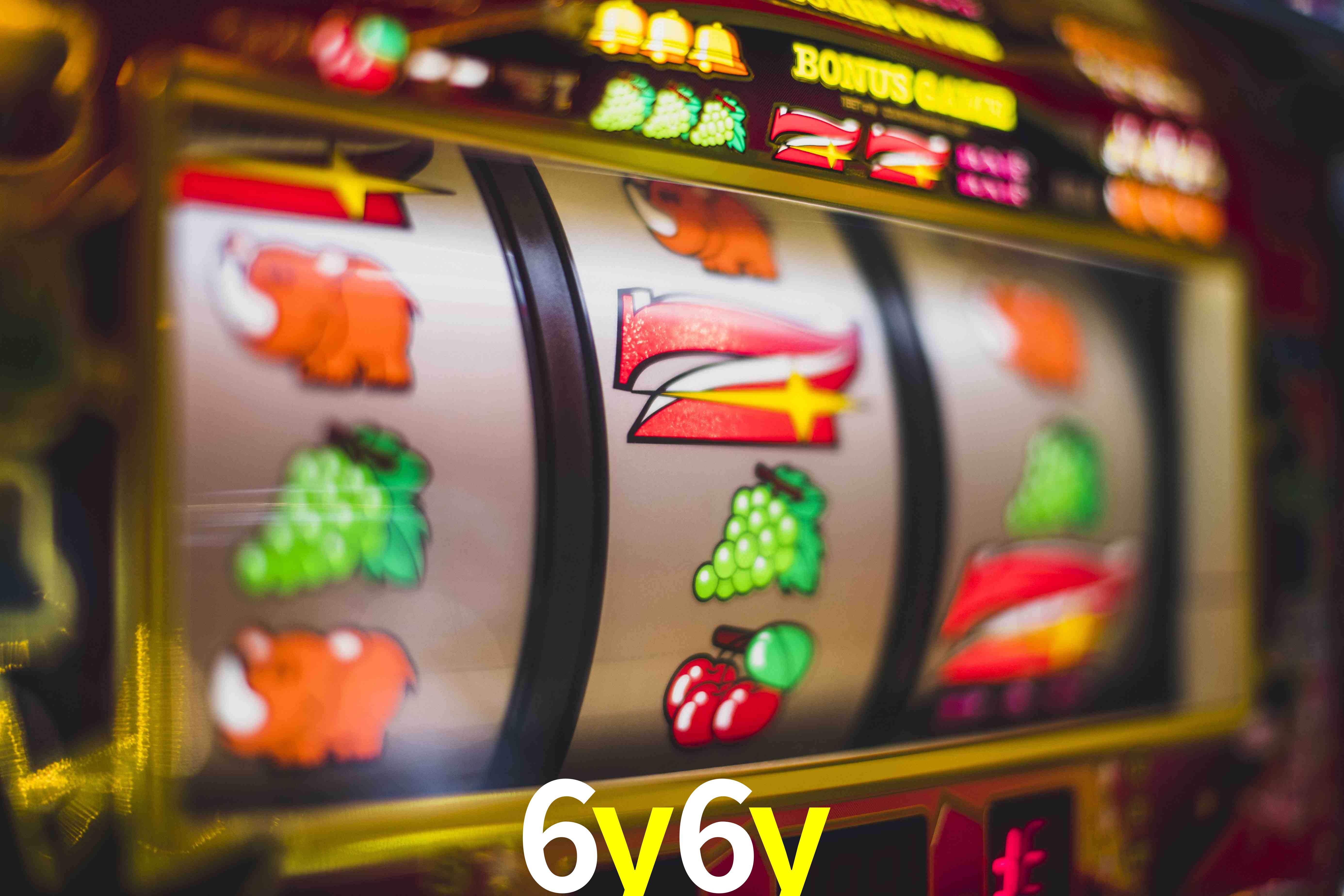 Experiência VIP 6y6y
